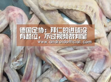 AG亚游官方下载