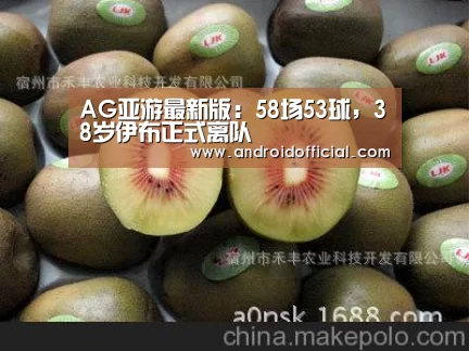 AG亚游最新版:58场53球,38岁伊布正式离队(图3) 安卓下载