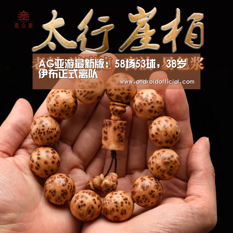 AG亚游最新版：58场53球，38岁伊布正式离队