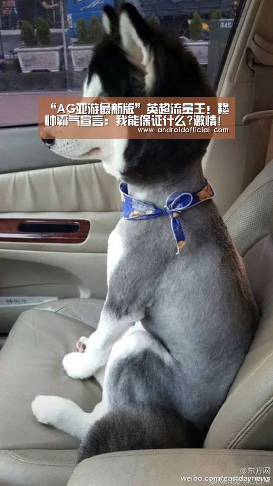 AG亚游官方下载