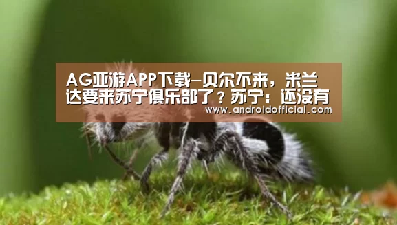 AG亚游APP下载