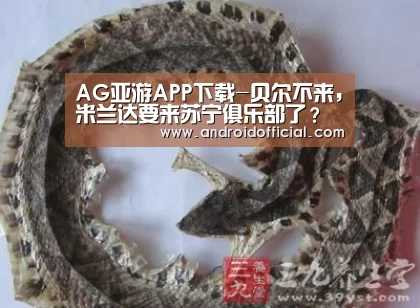 AG亚游最新版