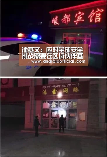 潘基文:应对全球安全挑战需要在区域伙伴基础上将冲突预防列为优先事项|AG亚游官方下载(图2) 安卓下载